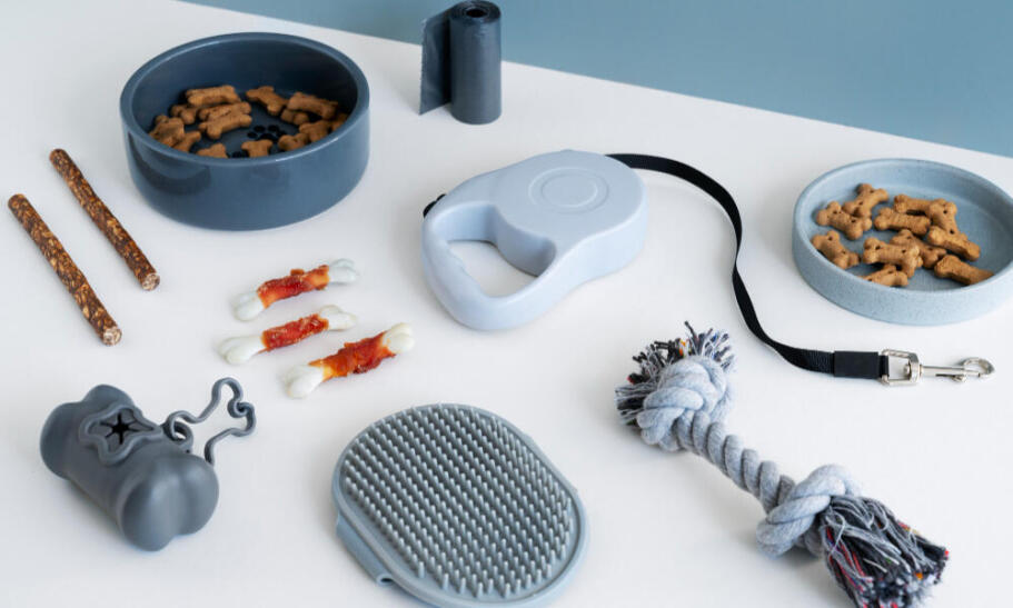 Potreby pre psov: čo by mal mať každý šťastný a zdravý pes