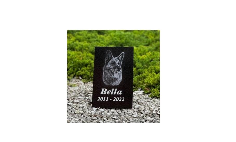 Pomník pre psa ako forma spomienky na verného psíka