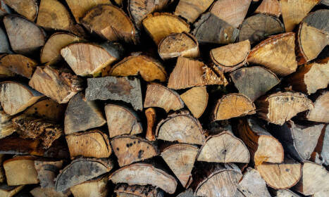 Výhodný predaj palivového dreva: zima bez starostí a tepla