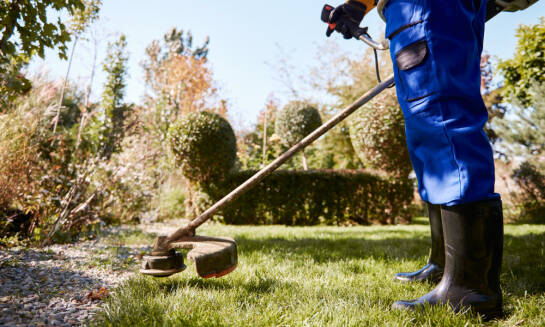 Čistenie pozemkov: Prečo je dôležité nezanedbávať túto úlohu
