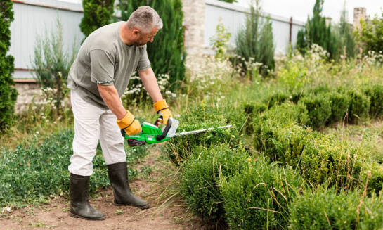 Mulčovanie: jednoduchý spôsob, ako mať krajšiu a zdravšiu záhradu
