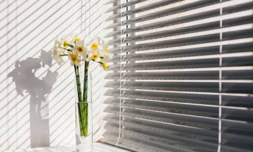 Vnútorné žalúzie na plastové okná: Praktické a elegantné riešenie pre každý domov