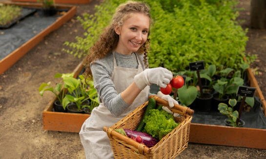 Jedlá záhrada: Pestovanie ovocia a zeleniny s minimálnou námahou