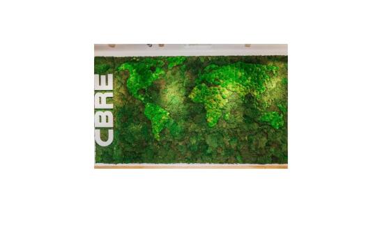 Steny z machu: ako sa starať o bezúdržbovú zeleň