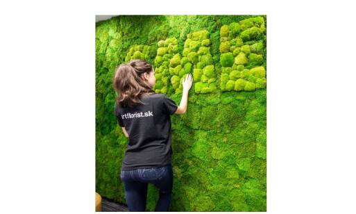 Machové steny: štýlový trend pre moderné interiéry