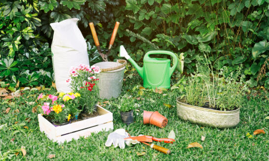 Ako ušetriť náklady na starostlivosť o záhradu