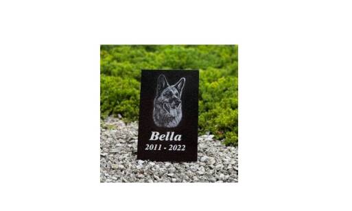 Pomník pre psa ako forma spomienky na verného psíka