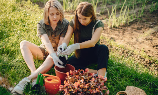Zber úrody ako obdobie radosti, starostlivosti aj zodpovednosti