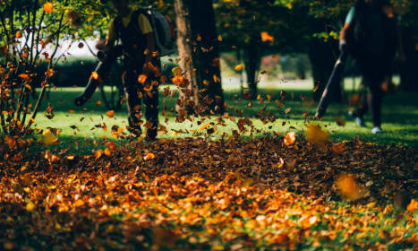 Záhrada pred zimou ako priestor, ktorý si zaslúži starostlivosť a ochranu pre úspešný začiatok novej sezóny