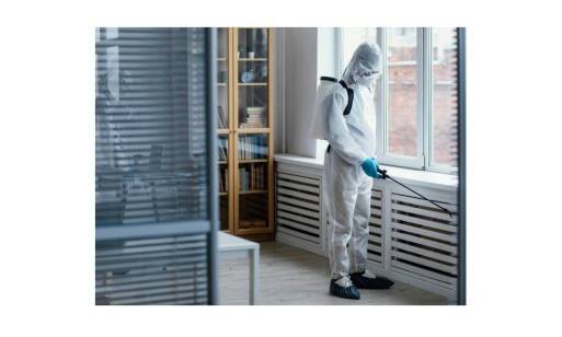 Ako sa zbaviť bĺch a ochrániť domácnosť pred ich návratom