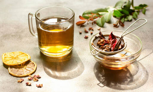 Bylinkové čaje ako každodenný rituál pre zdravie a pohodu