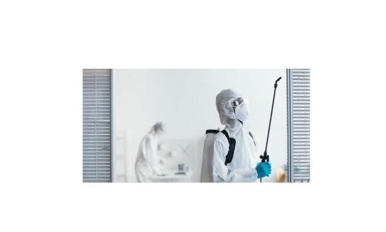 Ako sa zbaviť ôs bez ohrozenia zdravia a majetku