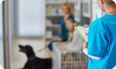 Veterinárna klinika v Nitre: Kompletná starostlivosť o vašich miláčikov