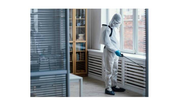 Ako sa zbaviť bĺch a ochrániť domácnosť pred ich návratom