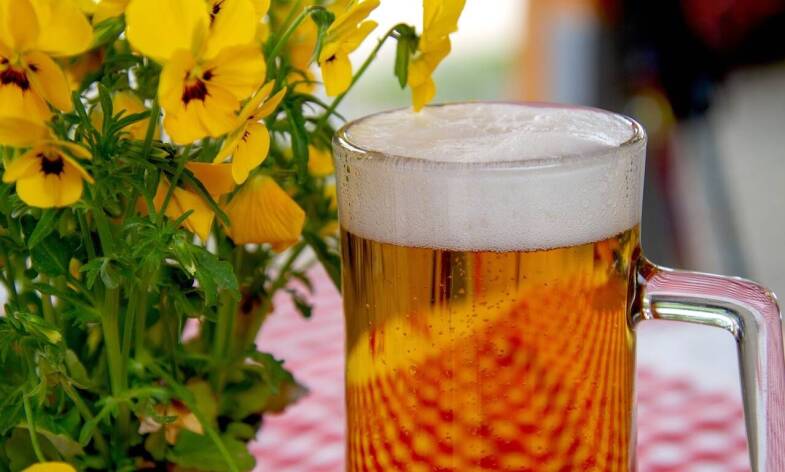 Aké pivo chutí najlepšie? Predsa vychladené, jemne orosené s penou tak akurát