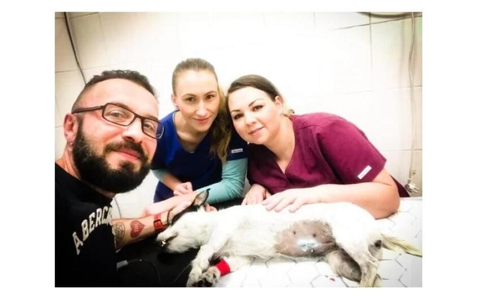 Profesionálny veterinár v Ružomberku – to je veterinárna klinika s nadštandardným prístupom k domácim miláčikom