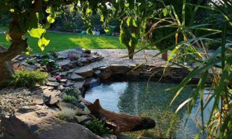 Okrasné jazierka: Aké prvky sú aktuálne populárne?
