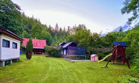 Denná starostlivosť o psov - ako si vybrať najlepší psí hotel?