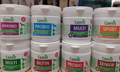 Prečo sú vitamíny pre zvieratá dôležité pre ich zdravie