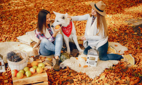Jesenná dovolenka – najlepšie tipy kde stráviť pár dní voľna