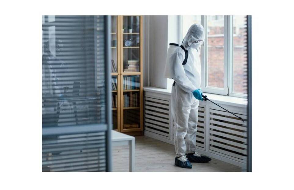 Ako sa zbaviť bĺch a ochrániť domácnosť pred ich návratom