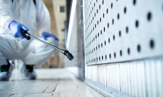 Likvidácia hmyzu sa oplatí riešiť systematicky