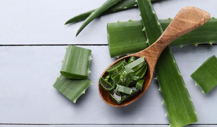 Aloe vera pozitívne pôsobí na suchú pokožku. Dokáže však toho omnoho viac